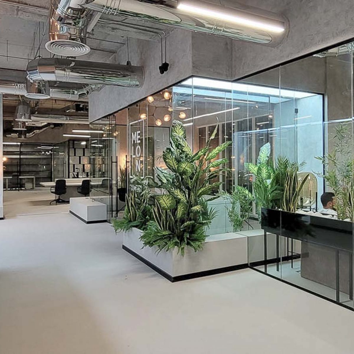 MELON MINDS | Head Office