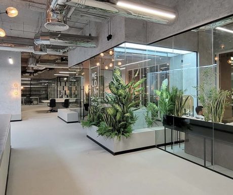 MELON MINDS | Head Office