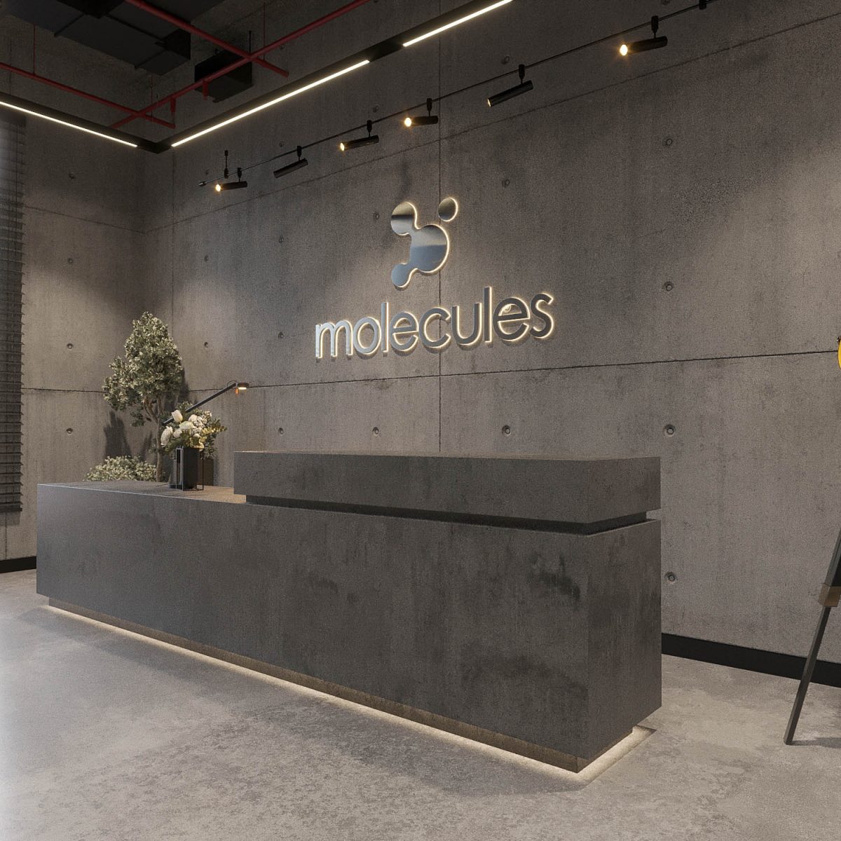 MOLECULES | Head Office